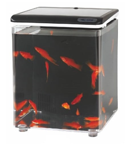Aquasyncro Fish Home Akvaryum Siyah 20x20x26 Cm